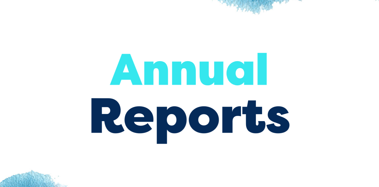 annual report cover 