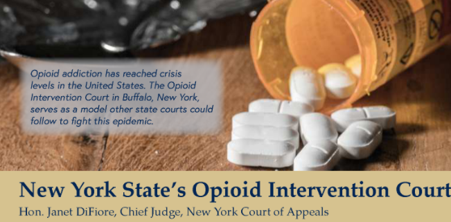 New York State's Opioid Intervention Court New York State's Opioid Intervention Court