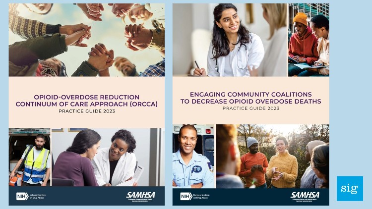 Two SAMHSA Practice Guides Featuring New York State Counties Emerge ...