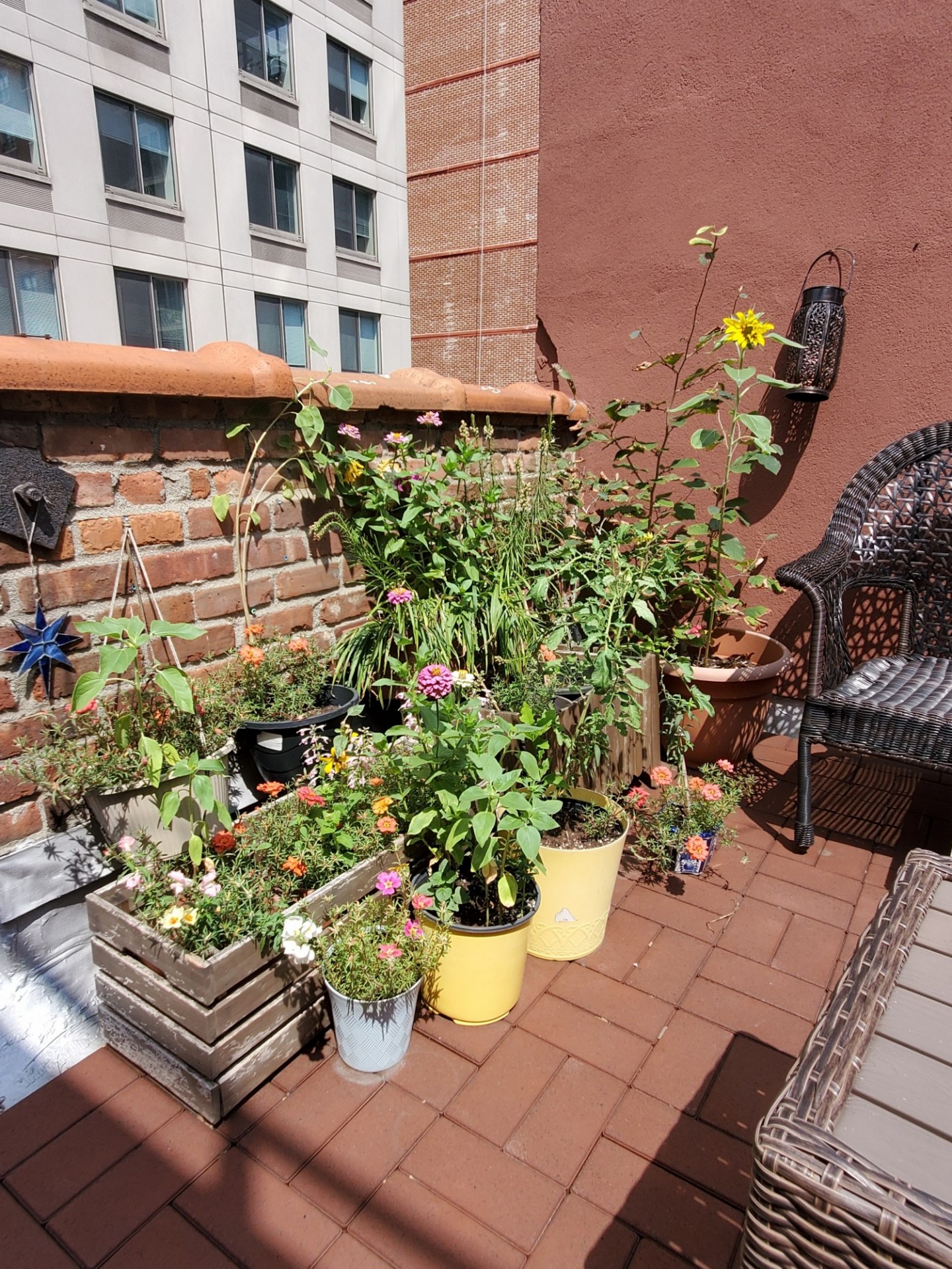 Rooftop garden with potted plants surrounded by brick and cobblestone