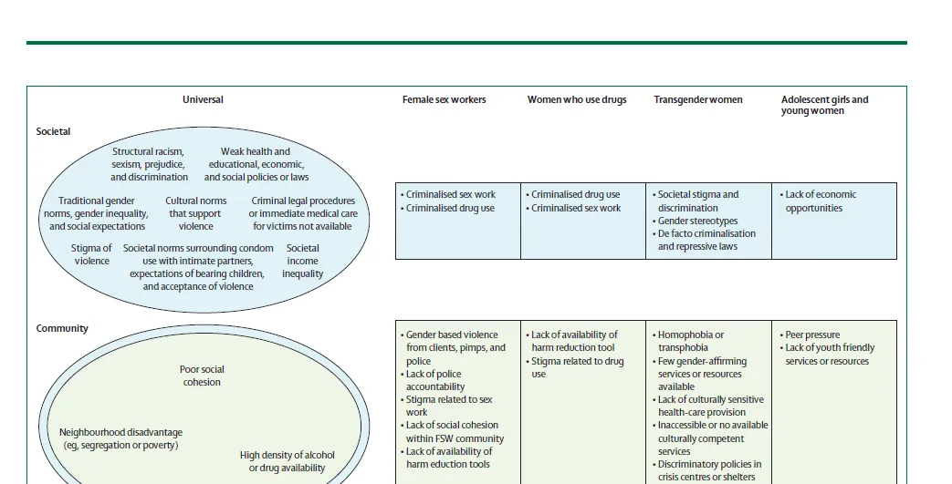 Figure showing risk factors for intimate partner violence for specific key populations of women