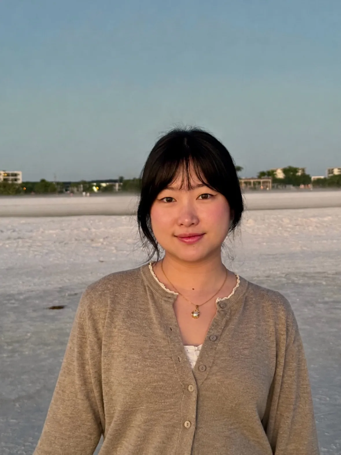 Qingyue Wang